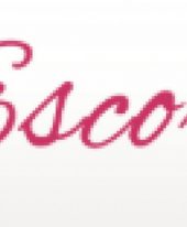 Sugar Escort Babes