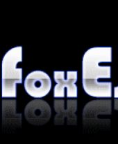 Silver Fox Escorts Agency